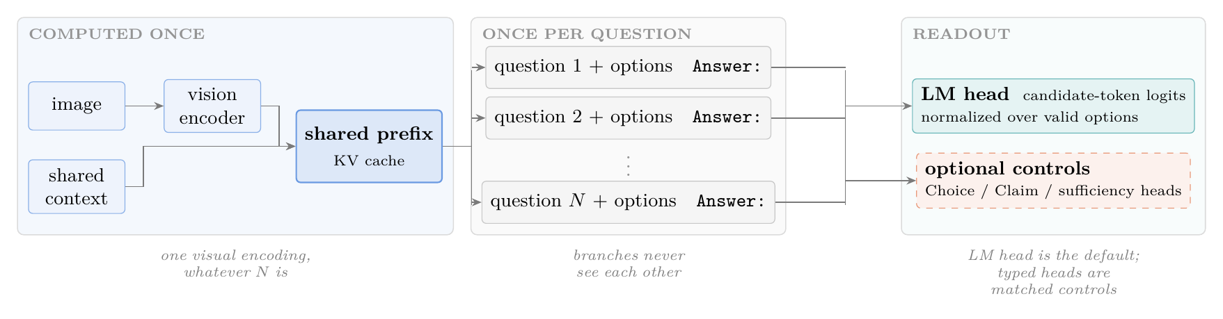 Architecture: image and public context form a cached shared prefix, independent question branches run as a batch, and the existing LM head scores their candidate answers